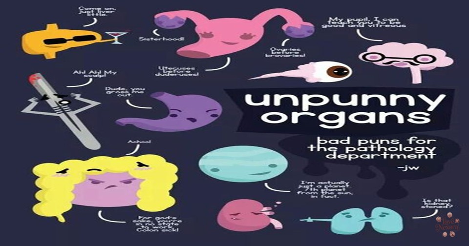 Body Puns That Fit Perfectly