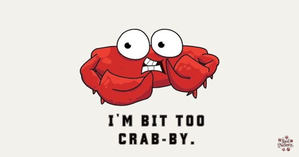 Clean Crab Jokes