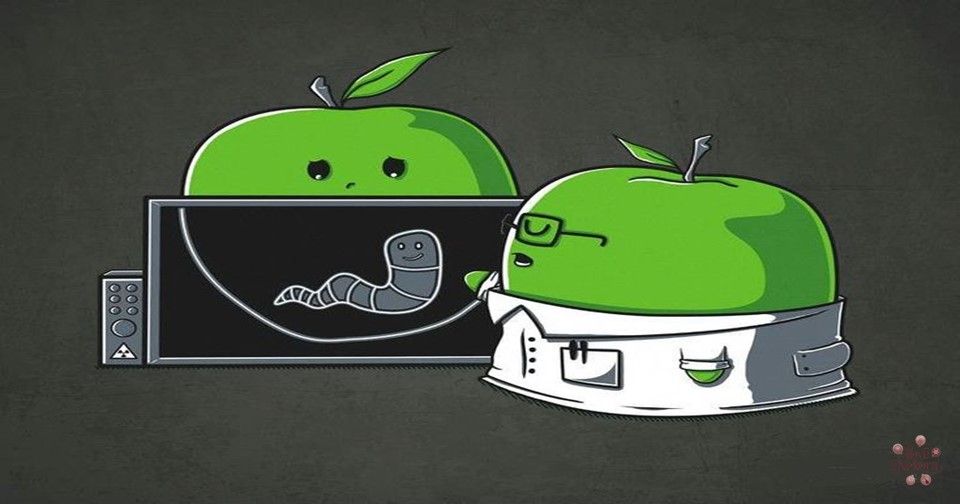 Clever Apple Puns and Wordplay