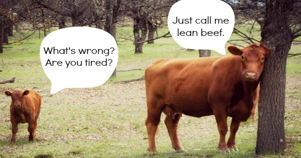 Dirty Cow Puns