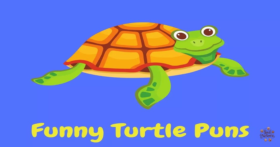 Short Turtle Puns