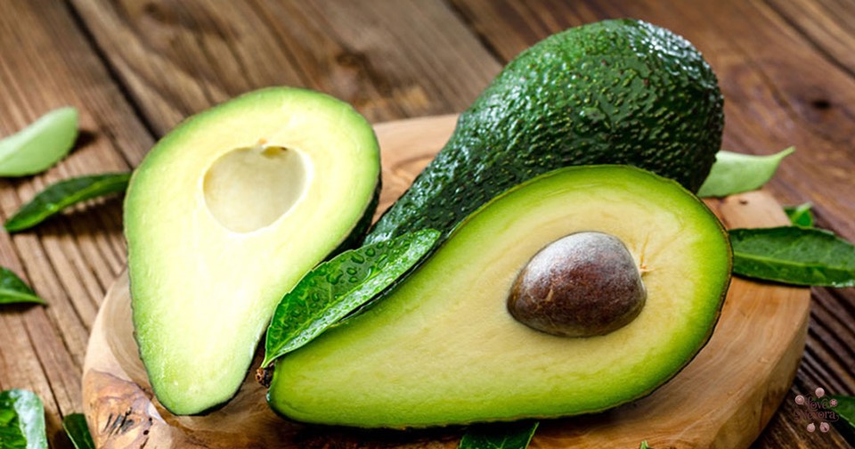 Christmas Avocado Puns