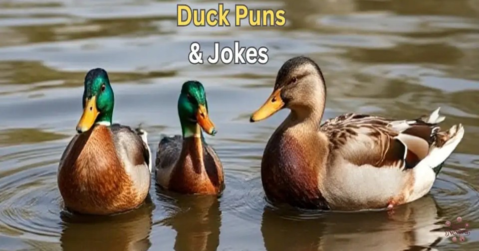 Two ducks sitting together at sunset.